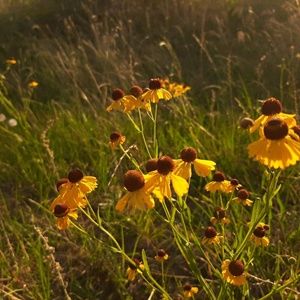 Meet your Posher, Zakiyah